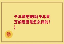 千年灵芝硬吗(千年灵芝的硬度是怎么样的？)