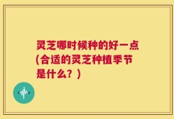 灵芝哪时候种的好一点(合适的灵芝种植季节是什么？)