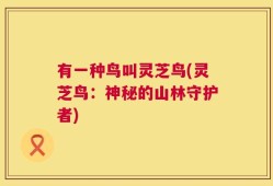 有一种鸟叫灵芝鸟(灵芝鸟：神秘的山林守护者)