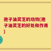 孢子油灵芝的功效(孢子油灵芝的好处和作用)