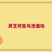 灵芝何首乌泡酒功