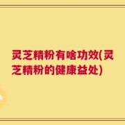 灵芝精粉有啥功效(灵芝精粉的健康益处)