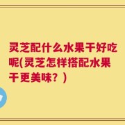 灵芝配什么水果干好吃呢(灵芝怎样搭配水果干更美味？)