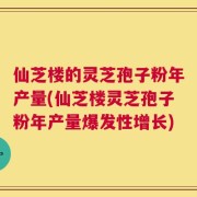 仙芝楼的灵芝孢子粉年产量(仙芝楼灵芝孢子粉年产量爆发性增长)