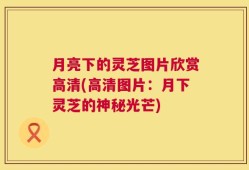 月亮下的灵芝图片欣赏高清(高清图片：月下灵芝的神秘光芒)