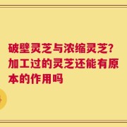 破壁灵芝与浓缩灵芝？加工过的灵芝还能有原本的作用吗