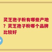 灵芝孢子粉有哪些产地？灵芝孢子粉哪个品牌比较好