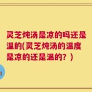灵芝炖汤是凉的吗还是温的(灵芝炖汤的温度是凉的还是温的？)