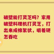 破壁能打灵芝吗？家用破壁料理机打灵芝，打出来成棉絮状，嚼着硬怎吞吃