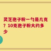 灵芝孢子粉一勺是几克？10克孢子粉大约多少