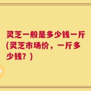 灵芝一般是多少钱一斤(灵芝市场价，一斤多少钱？)