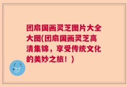 团扇国画灵芝图片大全大图(团扇国画灵芝高清集锦，享受传统文化的美妙之旅！)