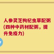 人参灵芝枸杞虫草配粥(四种中药材配粥，提升免疫力)