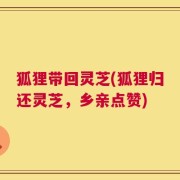 狐狸带回灵芝(狐狸归还灵芝，乡亲点赞)