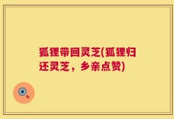 狐狸带回灵芝(狐狸归还灵芝，乡亲点赞)