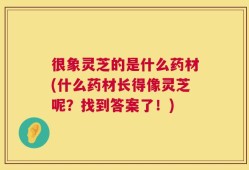 很象灵芝的是什么药材(什么药材长得像灵芝呢？找到答案了！)