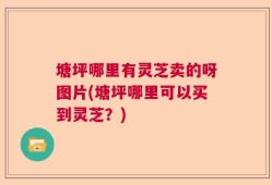 塘坪哪里有灵芝卖的呀图片(塘坪哪里可以买到灵芝？)