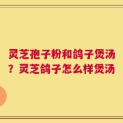 灵芝孢子粉和鸽子煲汤？灵芝鸽子怎么样煲汤