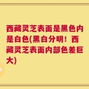 西藏灵芝表面是黑色内是白色(黑白分明！西藏灵芝表面内部色差巨大)