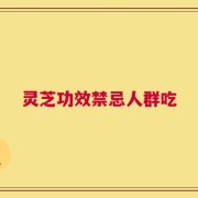灵芝功效禁忌人群吃