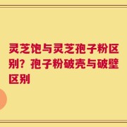 灵芝饱与灵芝孢子粉区别？孢子粉破壳与破壁区别