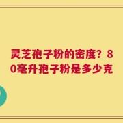 灵芝孢子粉的密度？80毫升孢子粉是多少克