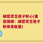 破壁灵芝孢子粉心(重塑健康：破壁灵芝孢子粉焕发能量)