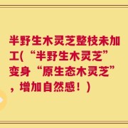半野生木灵芝整枝未加工(“半野生木灵芝”变身“原生态木灵芝”，增加自然感！)