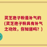 灵芝孢子粉是补气的 (灵芝孢子粉具有补气之功效，你知道吗？)