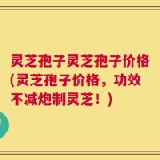 灵芝孢子灵芝孢子价格(灵芝孢子价格，功效不减炮制灵芝！)
