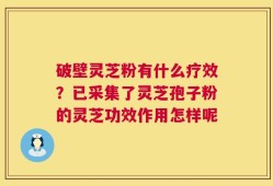 破壁灵芝粉有什么疗效？已采集了灵芝孢子粉的灵芝功效作用怎样呢