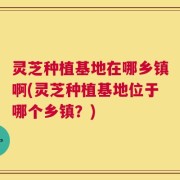 灵芝种植基地在哪乡镇啊(灵芝种植基地位于哪个乡镇？)