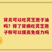 肾炎可以吃灵芝孢子油吗？得了肾病吃灵芝孢子粉可以提高免疫力吗