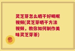 灵芝芽怎么晒干好喝呢视频(灵芝芽晒干方法视频，教你如何制作美味灵芝芽茶)