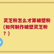 灵芝粉怎么才算破壁粉(如何制作破壁灵芝粉？)