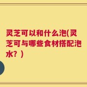 灵芝可以和什么泡(灵芝可与哪些食材搭配泡水？)