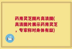 药用灵芝图片高清图(高清图片展示药用灵芝，专家称对身体有益)
