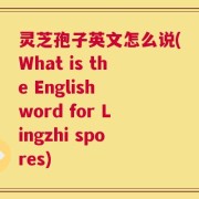 灵芝孢子英文怎么说(What is the English word for Lingzhi spores)