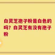 白灵芝孢子粉是白色的吗？白灵芝有没有孢子粉