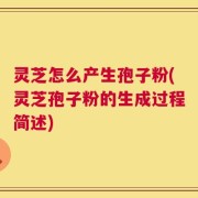 灵芝怎么产生孢子粉(灵芝孢子粉的生成过程简述)