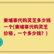 柬埔寨代购灵芝多少钱一个(柬埔寨代购灵芝价格，一个多少钱？)