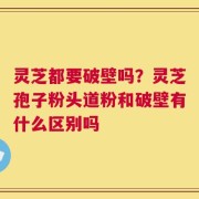 灵芝都要破壁吗？灵芝孢子粉头道粉和破壁有什么区别吗