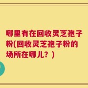 哪里有在回收灵芝孢子粉(回收灵芝孢子粉的场所在哪儿？)