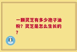 一颗灵芝有多少孢子油粉？灵芝是怎么生长的？