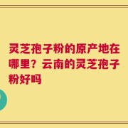 灵芝孢子粉的原产地在哪里？云南的灵芝孢子粉好吗