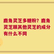 鹿角灵芝多糖粉？鹿角灵芝跟其他灵芝的成分有什么不同