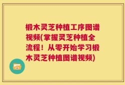 椴木灵芝种植工序图谱视频(掌握灵芝种植全流程！从零开始学习椴木灵芝种植图谱视频)