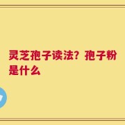 灵芝孢子读法？孢子粉是什么