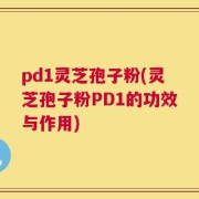 pd1灵芝孢子粉(灵芝孢子粉PD1的功效与作用)