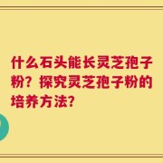 什么石头能长灵芝孢子粉？探究灵芝孢子粉的培养方法？